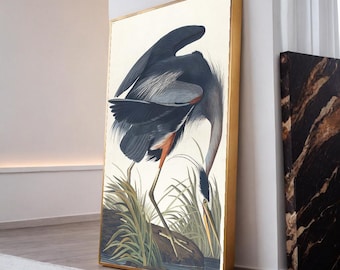Impresión de garza azul grande de John James Audubon, arte de pared con ilustración de aves vintage, póster de ornitología antiguo, decoración natural de gran tamaño.