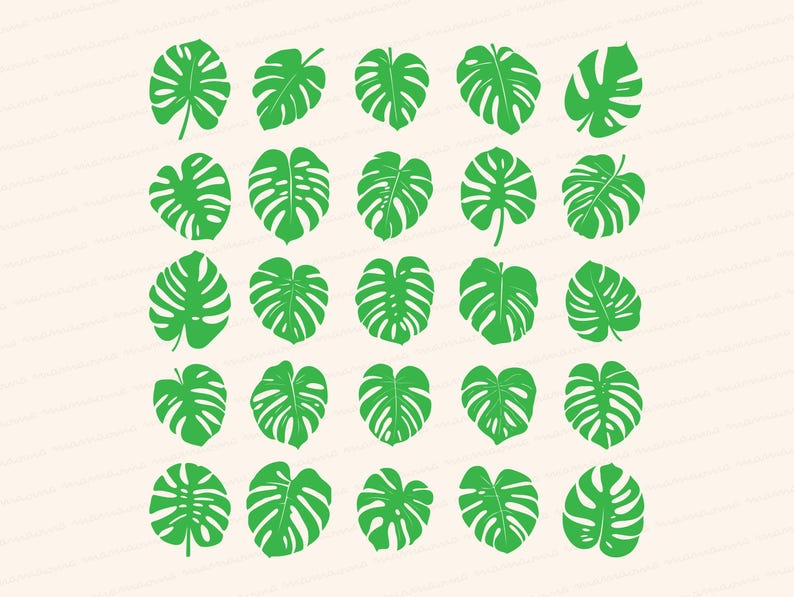 Monstera Leaves SVG Bundle, Botanical Svg, Svg Files, Floral Svg ...