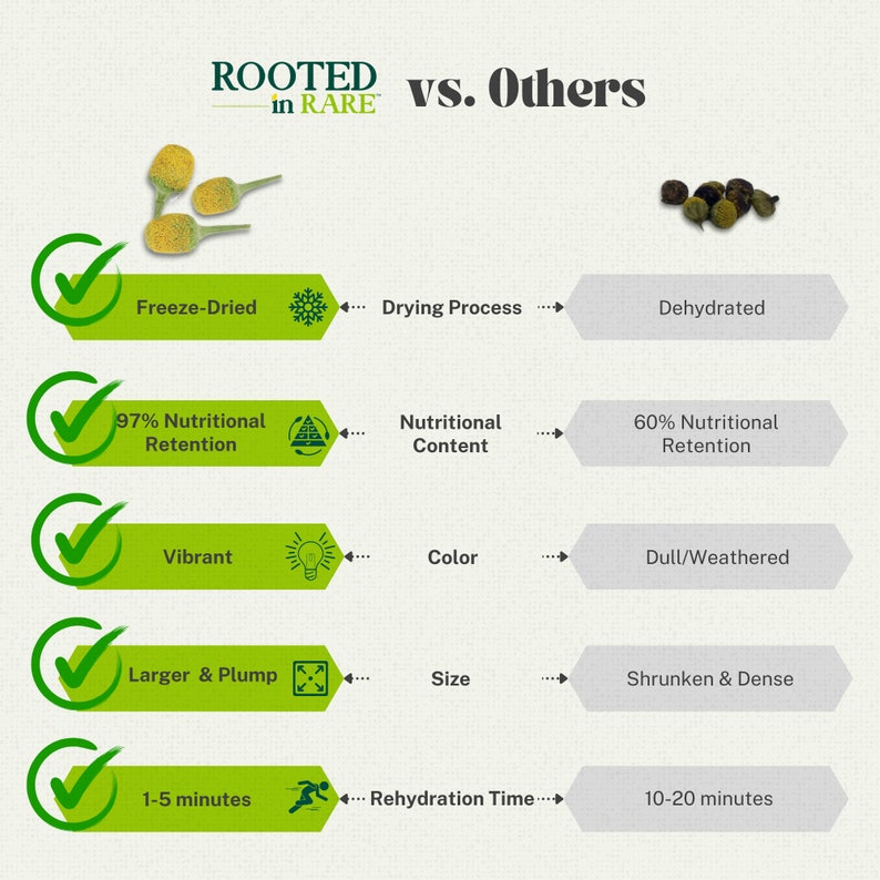 Buzz Buttons Edible Flowers for Cocktails Grown in USA Freeze Dried Buzz Button Freeze Dried