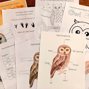 May include: A selection of owl-themed educational worksheets. Includes an owl anatomy diagram, colouring pages, and activities such as acrostic poems and footprint matching. The worksheets are designed for learning about owls.