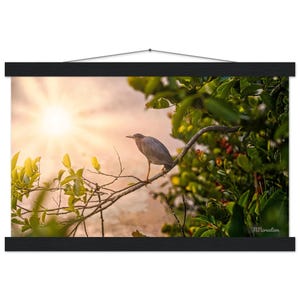 Poster di carta opaca di alta qualità con gancio Florida Birds Regalo per la sua decorazione della casa Colore della natura
