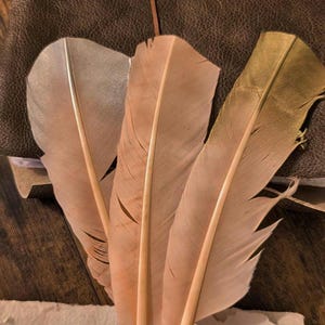 May include: Three decorative feathers in shades of pink, silver, and gold rest on a dark brown leather surface. The feathers have a soft, textured appearance, with visible details in their structure. The background includes a leather-bound item and a piece of paper.