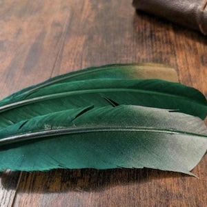 May include: Three green feathers with a gradient effect, changing from a deep emerald to a lighter, almost white hue at the tips. The feathers are arranged on a dark wooden surface, with a leather-bound object in the background.