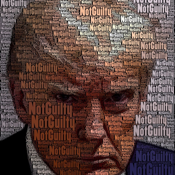 Donald Trump Mugshot “Not Guilty” 16x20” Repositional Poster High Quality
