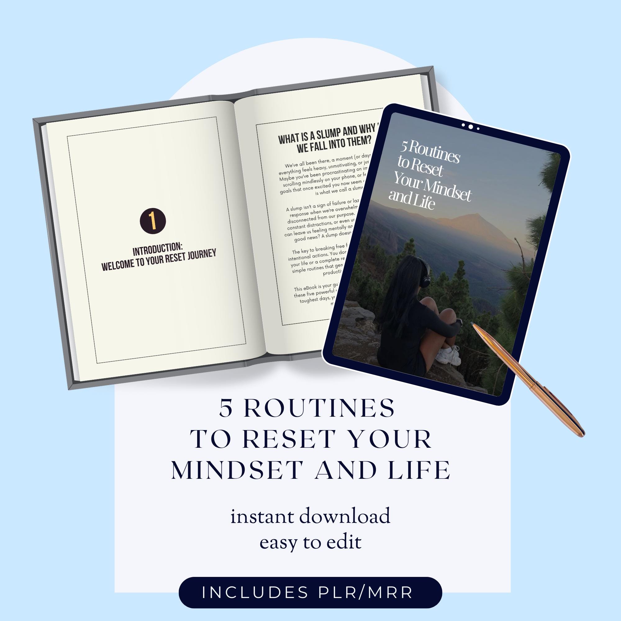 Why should you buy (PLR) Mindset Over Everything)