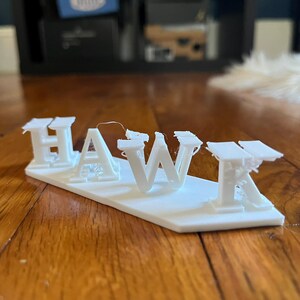 Hawk Tuah Illusion Toy