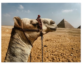 Egypt Travel Wall Art Poster