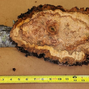 Wild Cherry Burl Slices Craft Knife Scales Woodworking