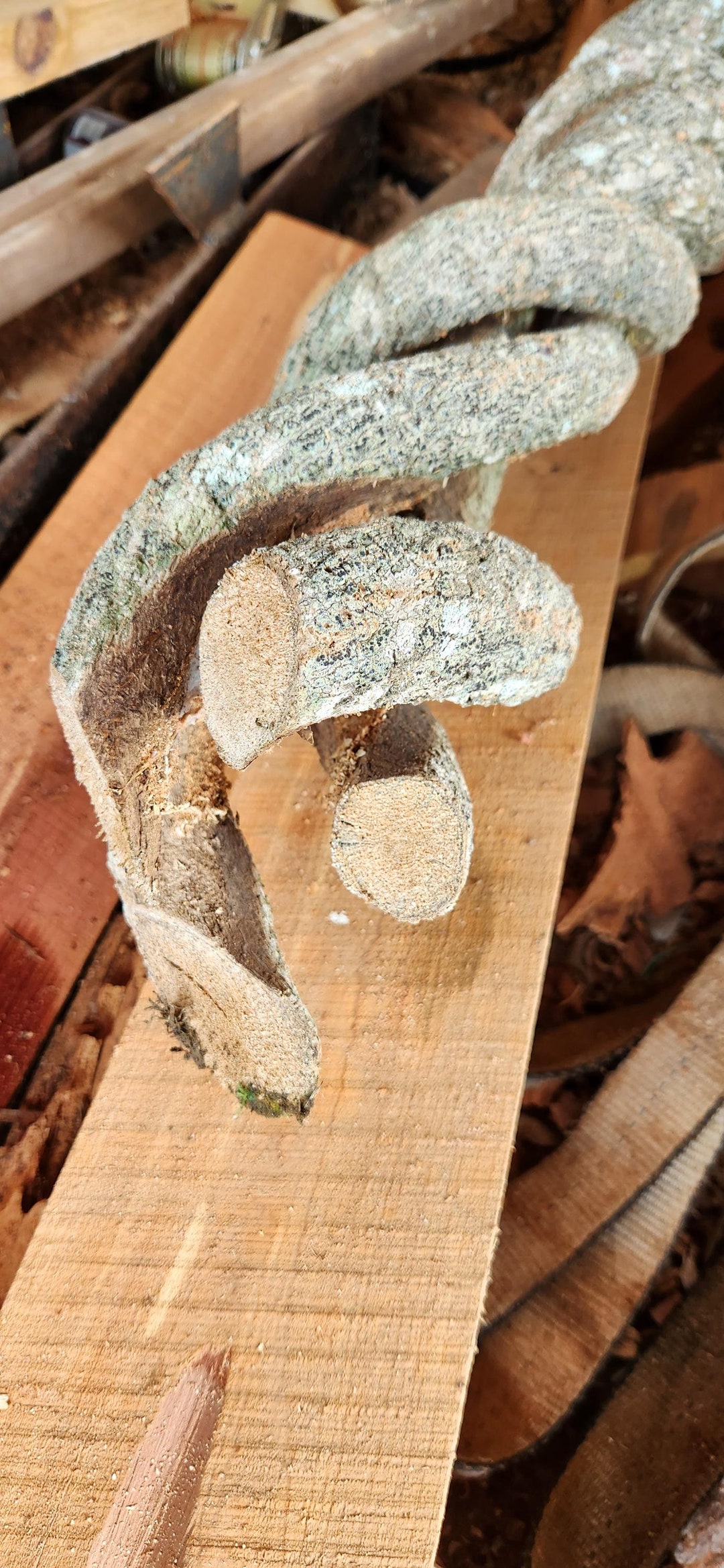 Vines Like Ropes Simile Rare Unique Twisted Rope Like Vine (cut to Order up to 4 Feet) - Etsy