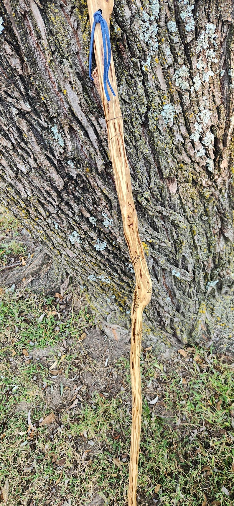 Walking Stick Unique Mushroom Themed Ironwood - Etsy