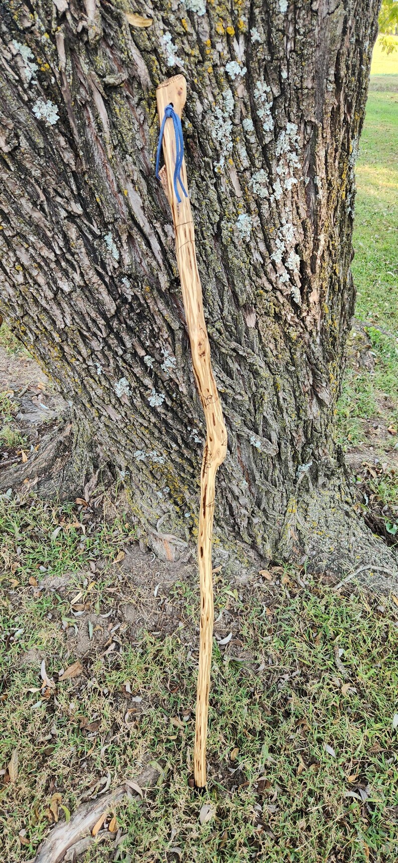 Walking Stick Unique Mushroom Themed Ironwood - Etsy