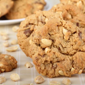 Classic Peanut Butter Cookies | Homemade & Fresh Baked | Cookie Gift Box