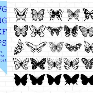 バタフライ - かわいい - 楽しい - グラフィックファイル - 簡単ダウンロード - SVG - テキストを追加 - 高品質 - SVG - PNG - Jpg -