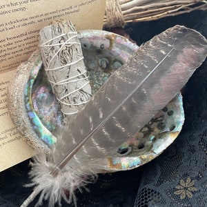 May include: A white sage smudge stick and a gray feather are placed inside a large iridescent abalone shell. The shell is sitting on a black lace fabric. The text on the paper reads: "are beautiful things, it take you where you might hear it's message, might speak rightly, might see the signs, the people first throughout..."