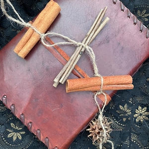 Könnte beinhalten: Ein handgefertigtes Lederjournal mit einem satten, rotbraunen Einband. Das Journal ist mit Zimtstangen, Bindfaden und einer dekorativen Samenkapsel verziert. Die Kanten des Journals sind genäht, was seinen rustikalen Charme unterstreicht.