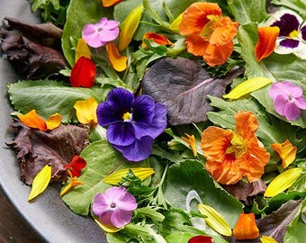 May include: A close-up of a salad with edible flowers. The salad includes a variety of greens, including red and green lettuce, and a mix of colorful flowers, including purple, orange, yellow, and pink.