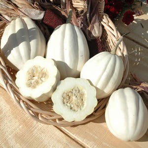 May include: A collection of white pumpkins and gourds, some whole and some sliced open to reveal seeds, arranged in a woven basket. The pumpkins have a ribbed texture and are displayed with dried corn and flowers, creating a fall harvest theme.