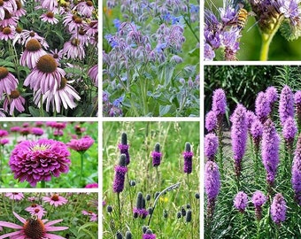 200 Purple Wildflower Mix Seeds. Ships free