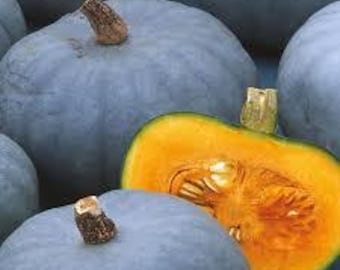 Puede incluir: Un conjunto de calabazas azul-grisáceas, una de ellas cortada para revelar una pulpa naranja brillante y semillas. Las calabazas tienen piel texturizada y tallos marrones. La imagen muestra los colores y formas naturales de las calabazas.