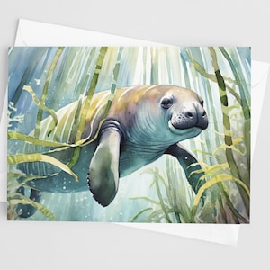 Manatee Aquarell Grußkarten, 5 x 7 Grußkarten-Set, Naturliebhaber, Beachy, Blanko Karten, Ocean Briefpapier, Florida Dankeskarten