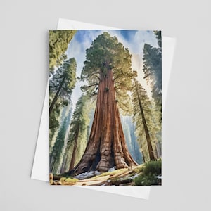 Cartes de voeux aquarelles du parc national de Sequoia, jeu de cartes de voeux 5 x 7, cadeaux parc national, nature, cartes d'art, général Sherman