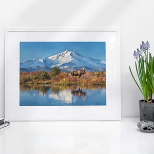 Denali Watercolor Art Print - Denali National Park, National Park Gifts, Alaska Wall Art, National Park Poster, Nature Art Print