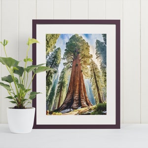 Mammutbaum Aquarell Art Print - National Park Geschenke, General Sherman, Natur Poster, Sequoia Nationalpark, Riesenwald, Baum