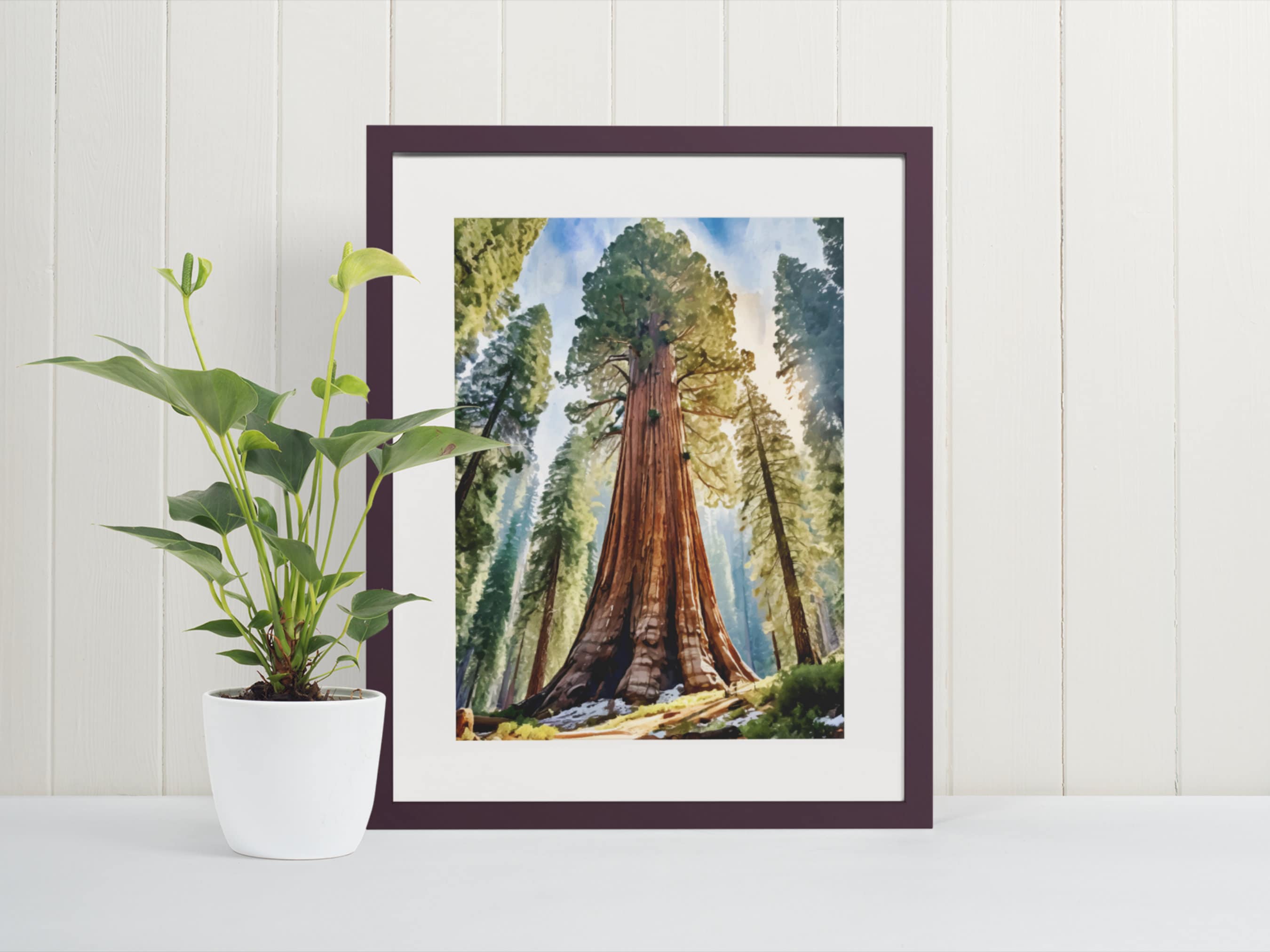 Sequoia Watercolor Art Print - National Park Gifts, General Sherman, Nature Poster, California, Sequoia National Park, Giant Forest, Tree