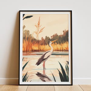 Anhingavogel poster moeras kunstafdruk kustvogel illustratie vlakke stijl kunst moderne vogel kunstafdruk natuur muur kunst wetland vogel decor