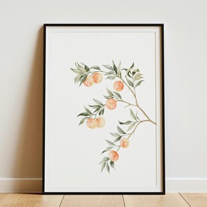 May include: A framed wall art print featuring a watercolour illustration of a branch with several round orange fruits and elongated green leaves. The artwork is set against a plain white background and enclosed in a thin black rectangular frame.