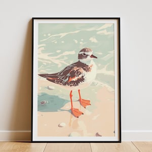 Póster de pájaro vuelvepiedras rojizo, decoración costera de playa de guijarros, impresión artística del océano, arte de casa de playa, ilustración digital plana, regalo para observadores de aves