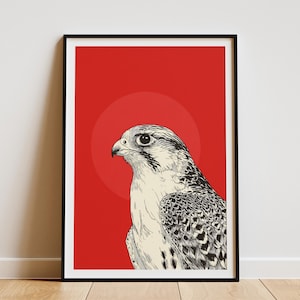 May include: Framed art print featuring a detailed illustration of a falcon against a vibrant red background with a circular design. The artwork is in black and white, with a focus on the bird's features. The print is displayed in a black frame.