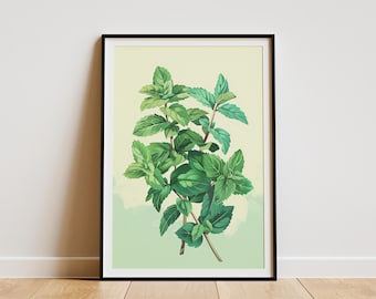 Botanical Print Green Minimalist Poster Mint Plant Illustration Wall Art for Kitchen Bathroom Home Decor