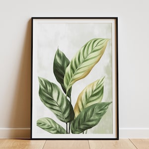 Calathea Leaves Poster Tropical Plant Art Print Botanical Wall Decor Modern Home Decor Calathea Illustration Green Leaves Art  Print