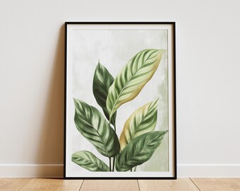 Calathea Leaves Poster Tropical Plant Art Print Botanical Wall Decor Modern Home Decor Calathea Illustration Green Leaves Art  Print