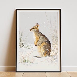 May include: Framed art print of a wallaby in a snowy landscape. The wallaby is depicted in shades of brown and tan, with a light-colored belly. The background features snow and sparse vegetation, with a black frame.