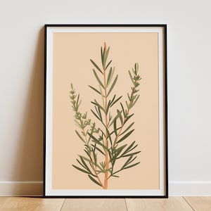 Minimalistische Rosmarin Pflanze Poster Botanische Wand Kunst Grün Kraut Illustration Küche Dekor
