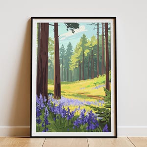 Bluebell Wald Wiese Poster Frühling Natur Kunstdruck Waldblumen Botanische Illustration Bluebell Wald Moderne minimalistische Dekoration ruhig