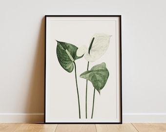 Anthurium Poster Minimalist Plant Print Boho Wall Art Botanical Illustration Tropical Leaf Modern Home Decor Anthurium Flower Art Print