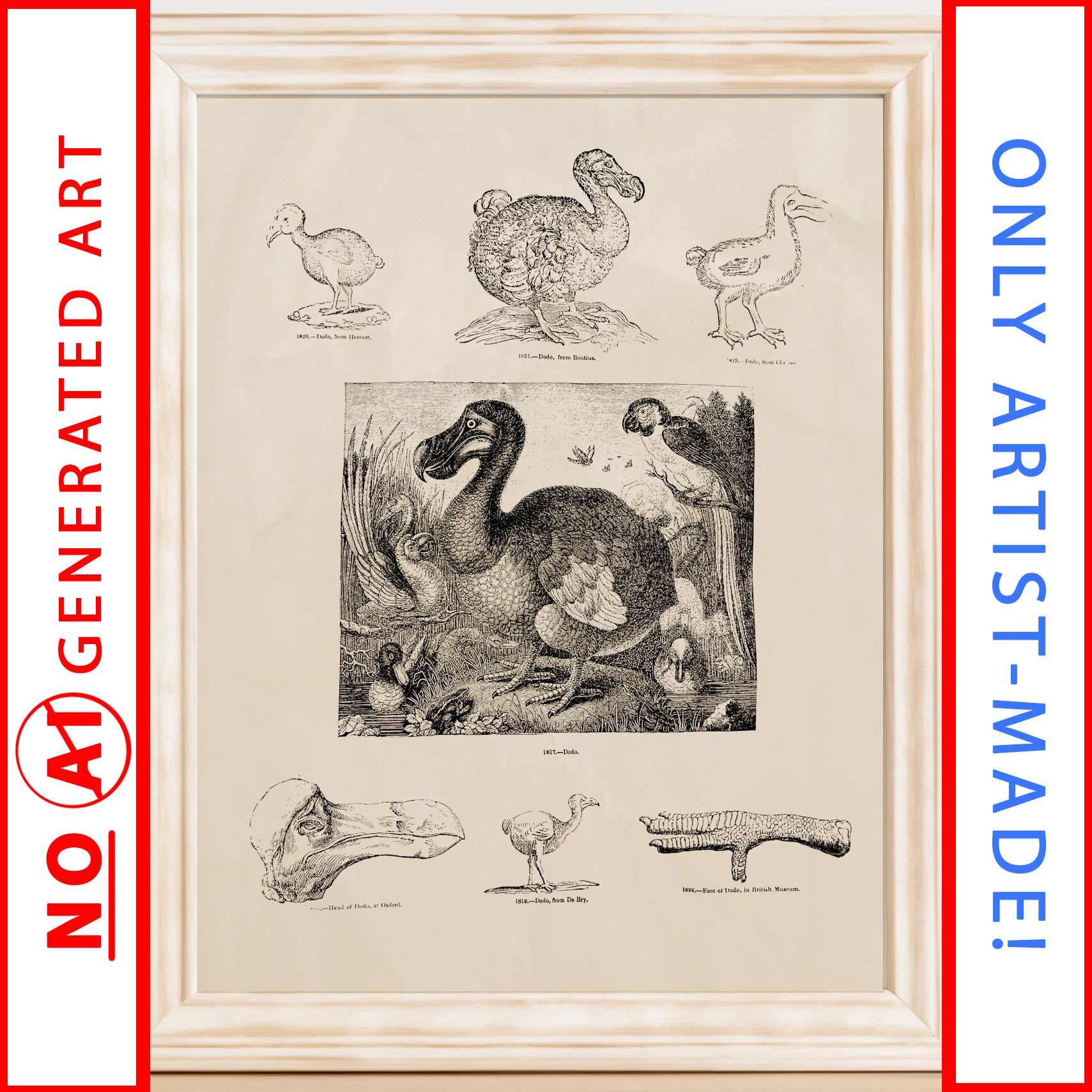 Vintage Dodo Bird 1800s Science Illustration Printable Instant Download ...