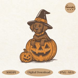 Pode incluir: Um filhote marrom usando um chapéu de bruxa e coleira está sentado dentro de uma abóbora laranja esculpida. Uma abóbora menor está ao lado da maior. A imagem tem o texto "Digital Download" e "PNG + SVG".