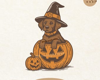 Peut inclure: Un chiot marron portant un chapeau de sorcière et un collier est assis à l'intérieur d'une citrouille orange sculptée. Une plus petite citrouille est à côté de la plus grande. L'image contient le texte "Digital Download" et "PNG + SVG".
