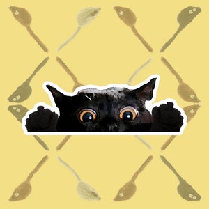 Black Cat Middle Finger Funny Meme Vinyl Decal Sticker for Laptop Car Bottle by Claudia the Bombay Cat