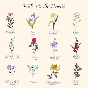 May include: A chart showing the birth month flowers, with illustrations of each flower and its name. The flowers are: Carnation, Iris, Daffodil, Daisy, Lily of the Valley, Rose, Water Lily, Gladiolus, Morning Glory, Cosmos, Chrysanthemum, and Holly.