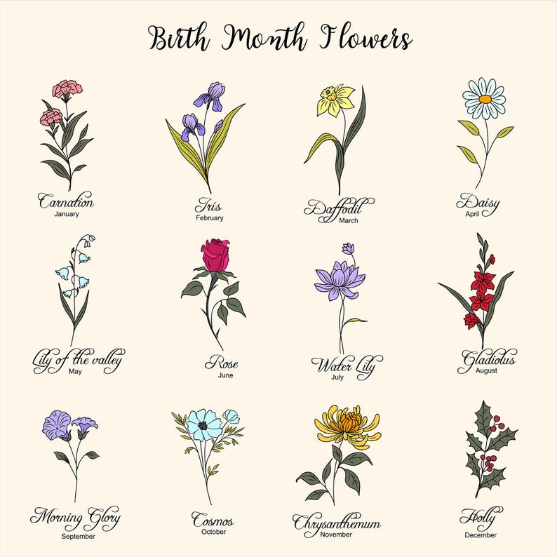 May include: A chart showing the birth month flowers, with illustrations of each flower and its name. The flowers are: Carnation, Iris, Daffodil, Daisy, Lily of the Valley, Rose, Water Lily, Gladiolus, Morning Glory, Cosmos, Chrysanthemum, and Holly.