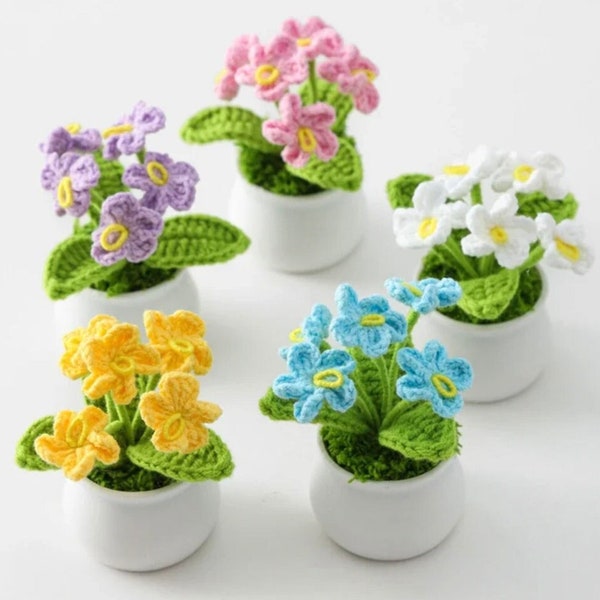 Handcrafted Mini Crochet Flower Pot, Cute Home Decor/ Mother's Day gift