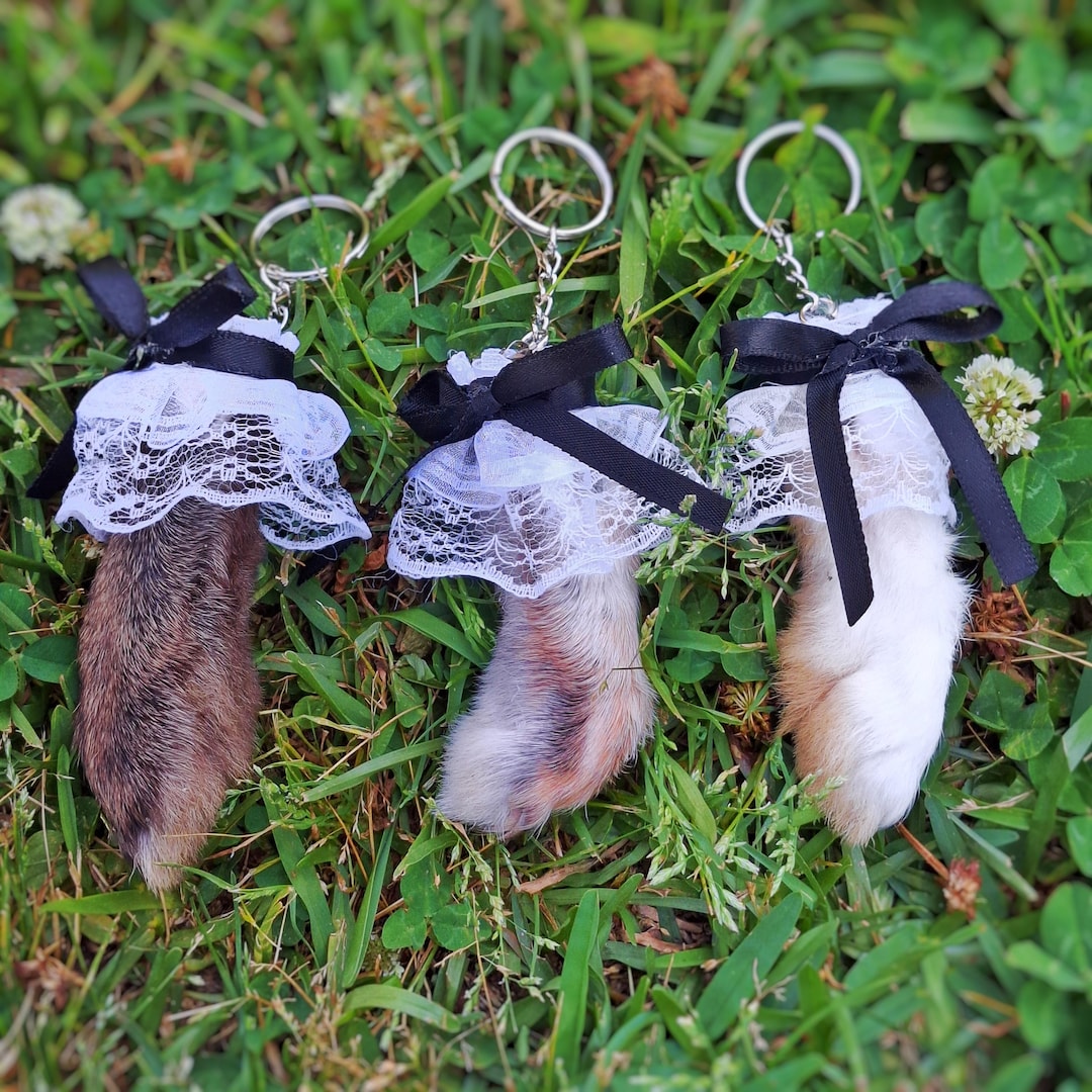 Real Rabbit Feet | Bunny Paw With Gothic Lace Specimen - Etsy