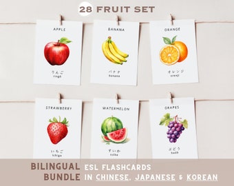28 Fruit Bilingual Flashcards / English to Japanese, Chinese, Korean BUNDLE / Montessori / Pre-school Cards / Educational Printable Cards