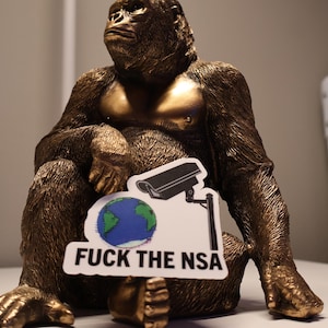 F*** The NSA