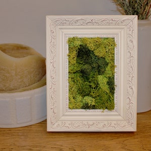 Preserved Moss Frame